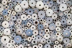 In Anticipation of the First